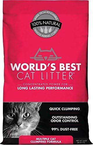 14-Pound Cat Clumping Litter B770863