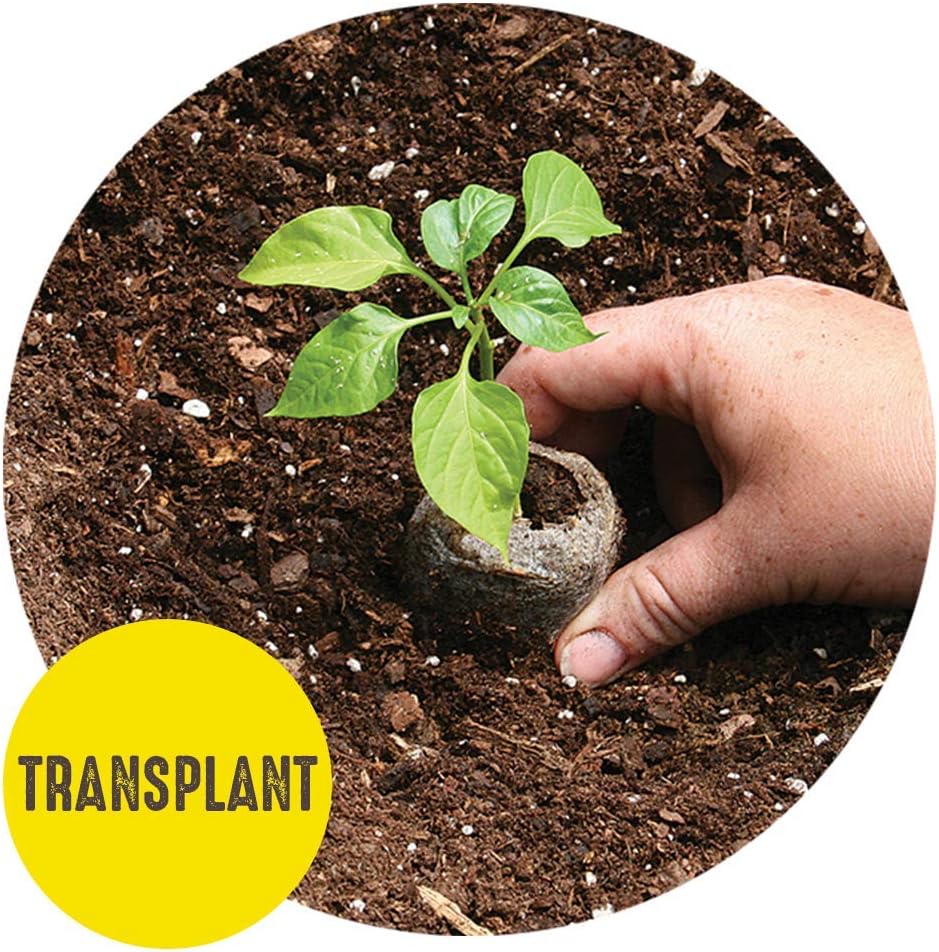 42mm Seed Starting Greenhouse Kit with 25 Biodegradable Expanding Peat Pellets M789429