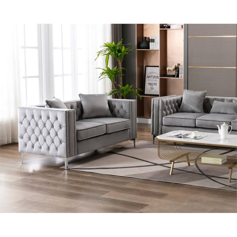 2 Piece Velvet Loveseat and Chair Set in Gray E99503