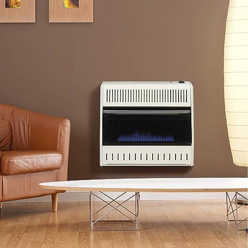 30,000 BTU Liquid Propane Blue Flame Heater T612