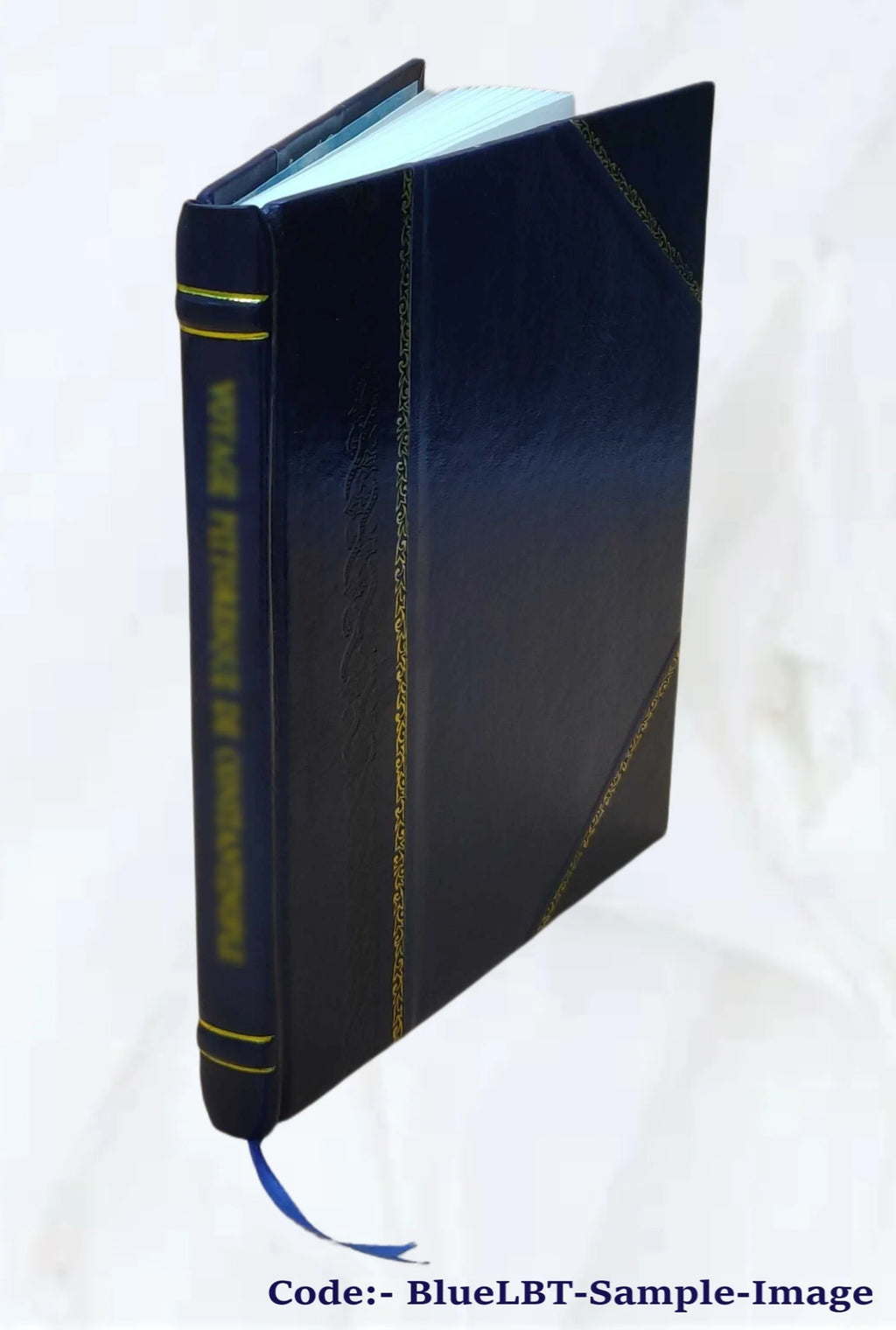 Leather Bound Book F44301
