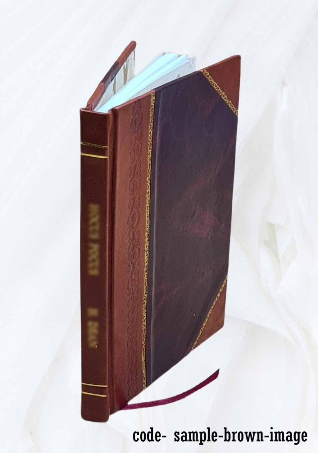 Leather Bound Book F44301