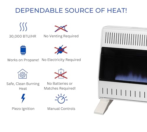 30,000 BTU Liquid Propane Blue Flame Heater T612