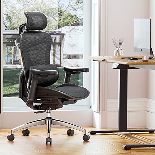Ergonomic Office Chair with 3D Armrests, Adjustable Backrest, Grey L297