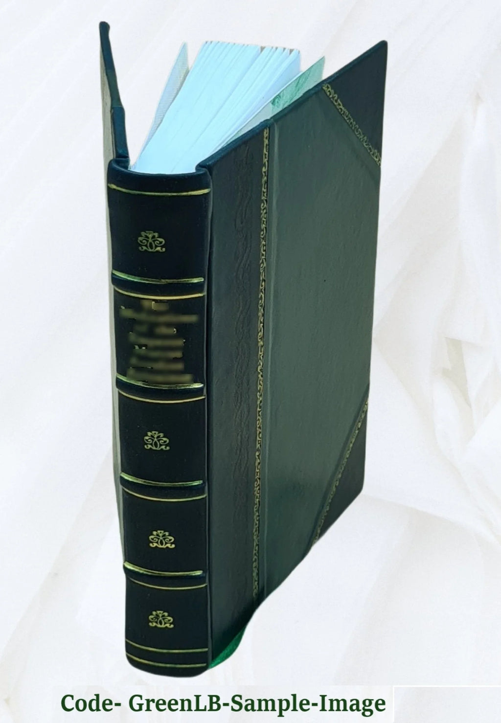 Leather Bound Book P45121