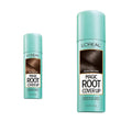 Light Brown and Dark Brown 2 oz. Gray Concealer Spray Bundle T139417