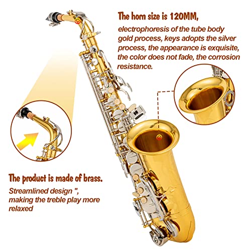 Black/gold keys Eb Alto Saxophone with Case G299000