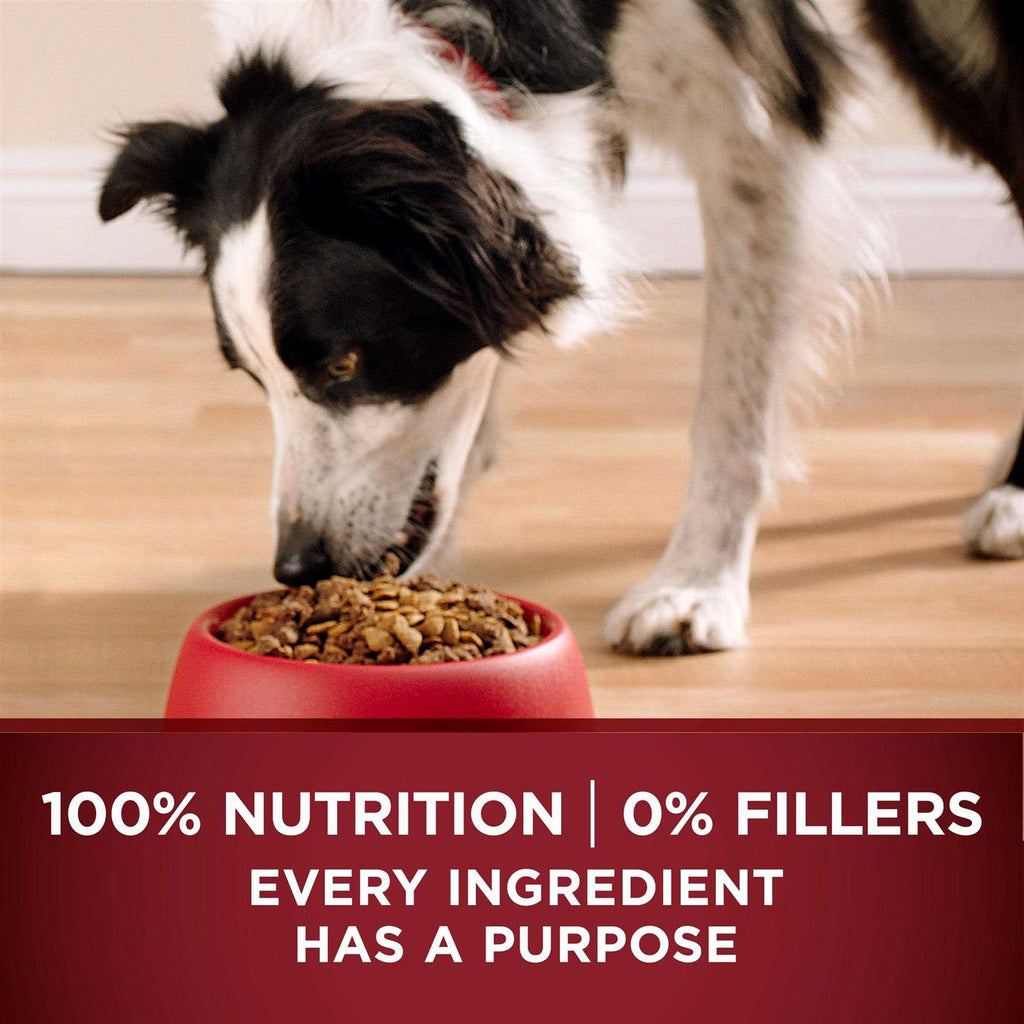 Real Turkey & Venison Dry Dog Food T84395