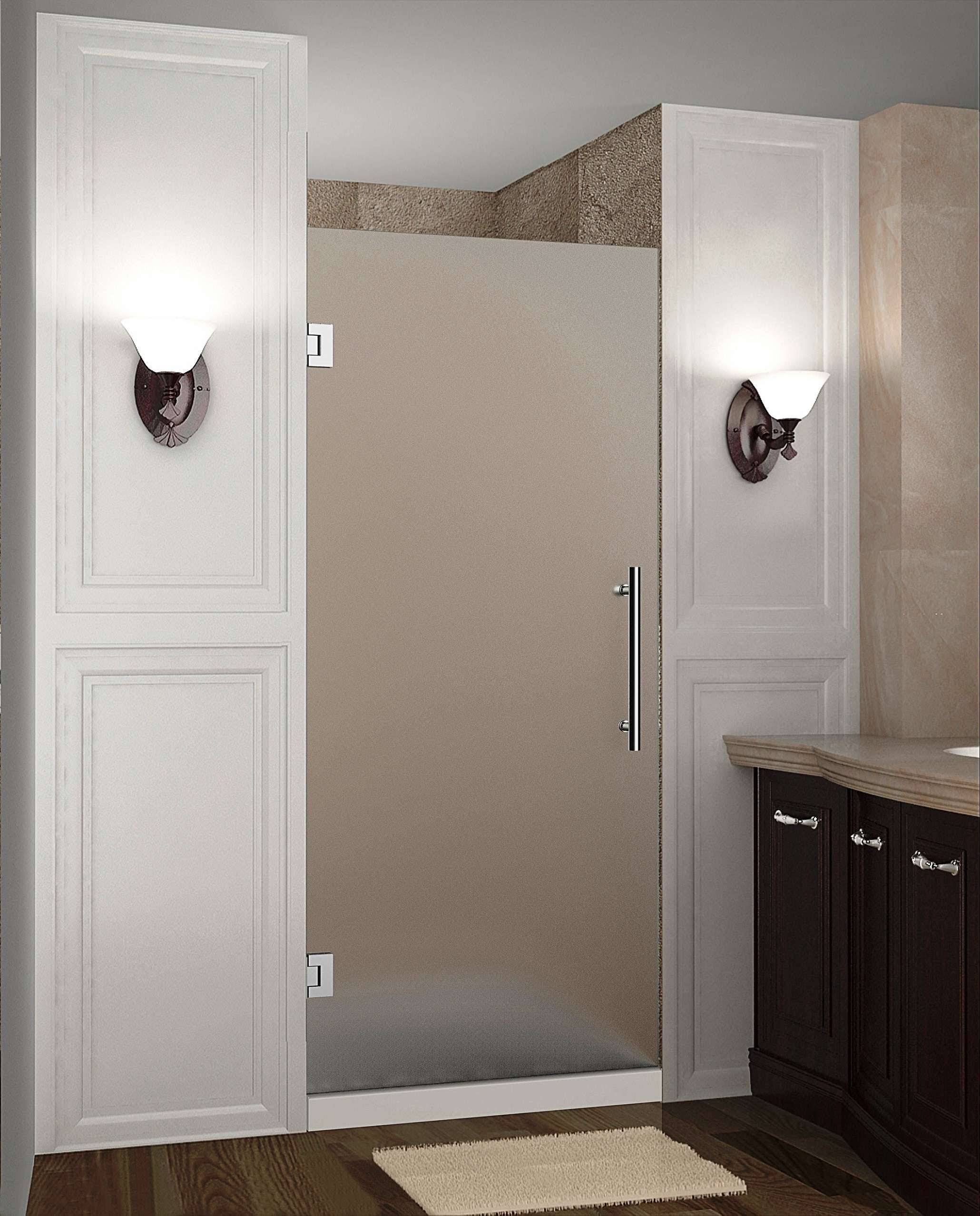 Frameless Hinged Shower Door Stainless Steel P53943