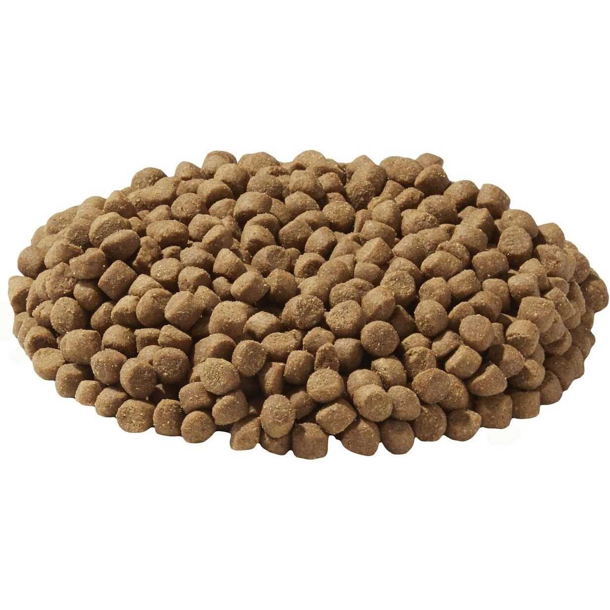 Dry Dog/Cat Food H212400