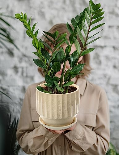 6 inch Set of 2 Ceramic Plant Pots with Drainage Hole and Saucer, Creamy White X5286