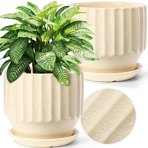 6 inch Set of 2 Ceramic Plant Pots with Drainage Hole and Saucer, Creamy White X5286