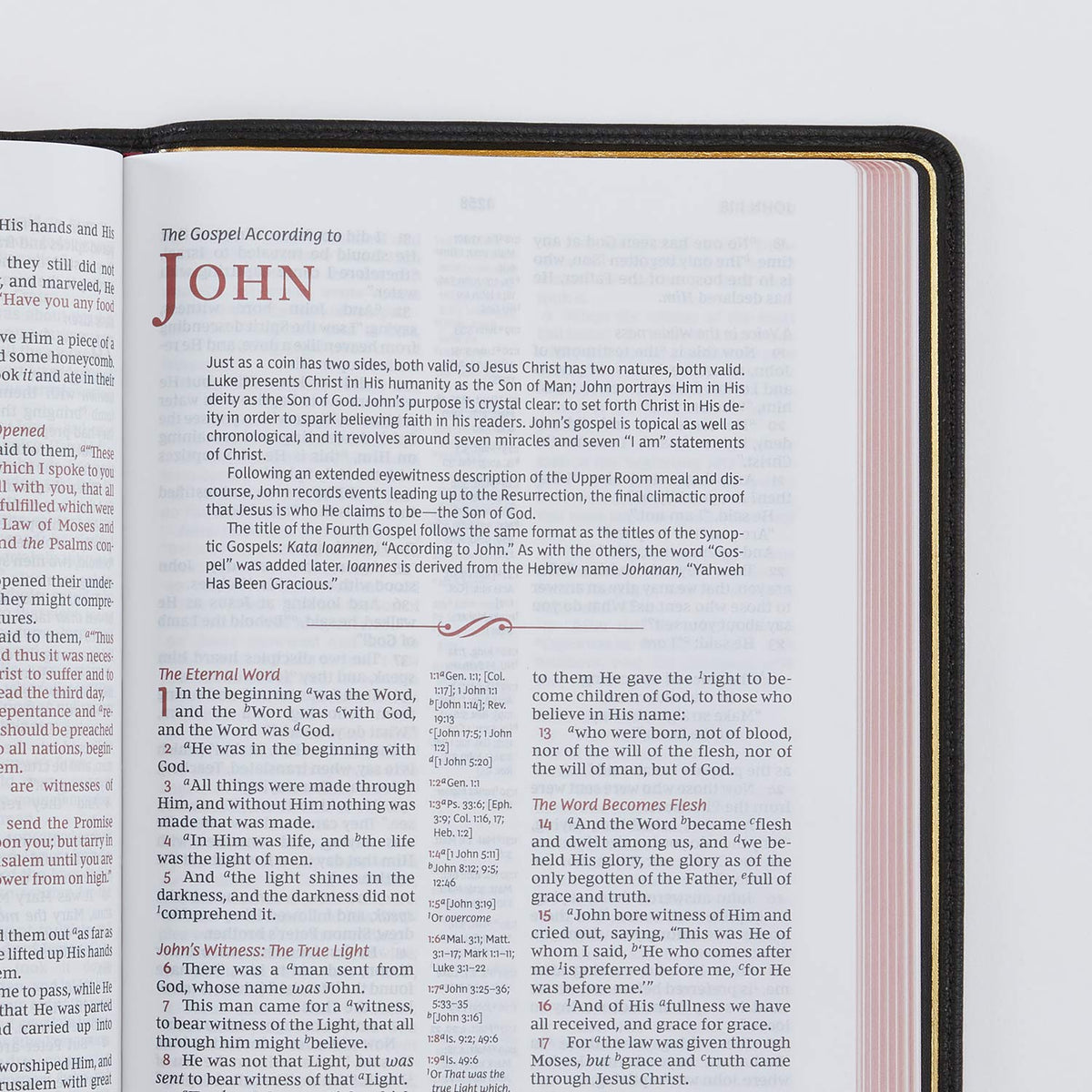 Black Premium Goatskin Leather Reference Bible K869