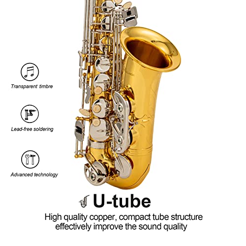 Black/gold keys Eb Alto Saxophone with Case G299000