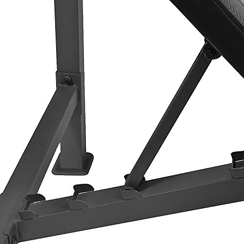 Olympic Weight Bench with Preacher Curl Pad and Leg Developer W2262