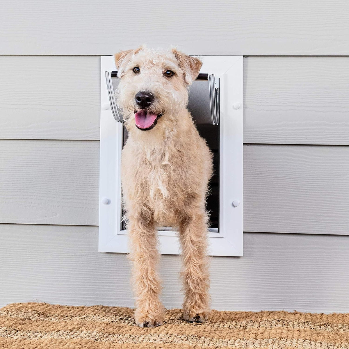 Pet Door with Telescoping Tunnel L65919