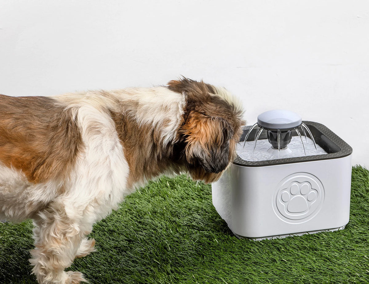 Pet Water Fountain G90639