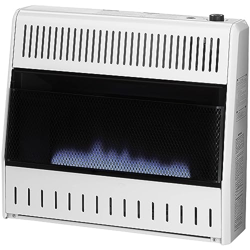 30,000 BTU Liquid Propane Blue Flame Heater T612
