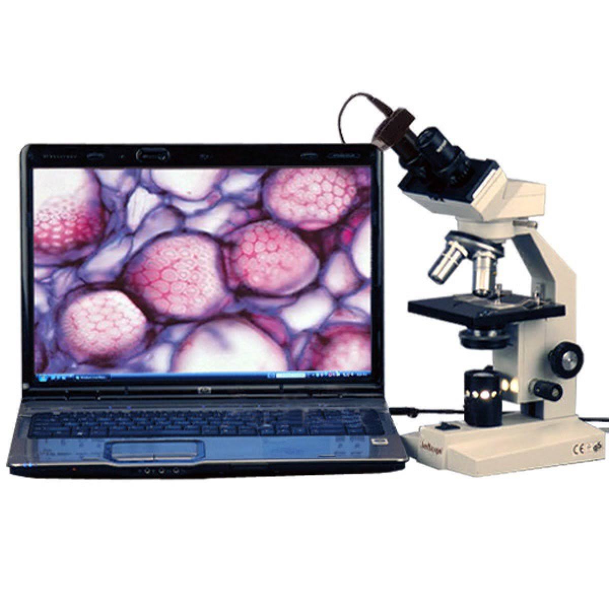 40X-1600X Binocular Compound Microscope with 1.3MP Camera A92197