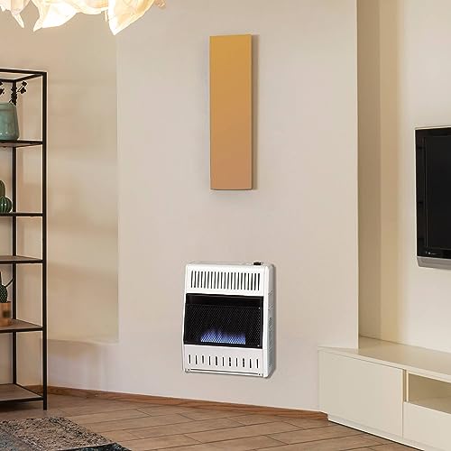 30,000 BTU Liquid Propane Blue Flame Heater T612
