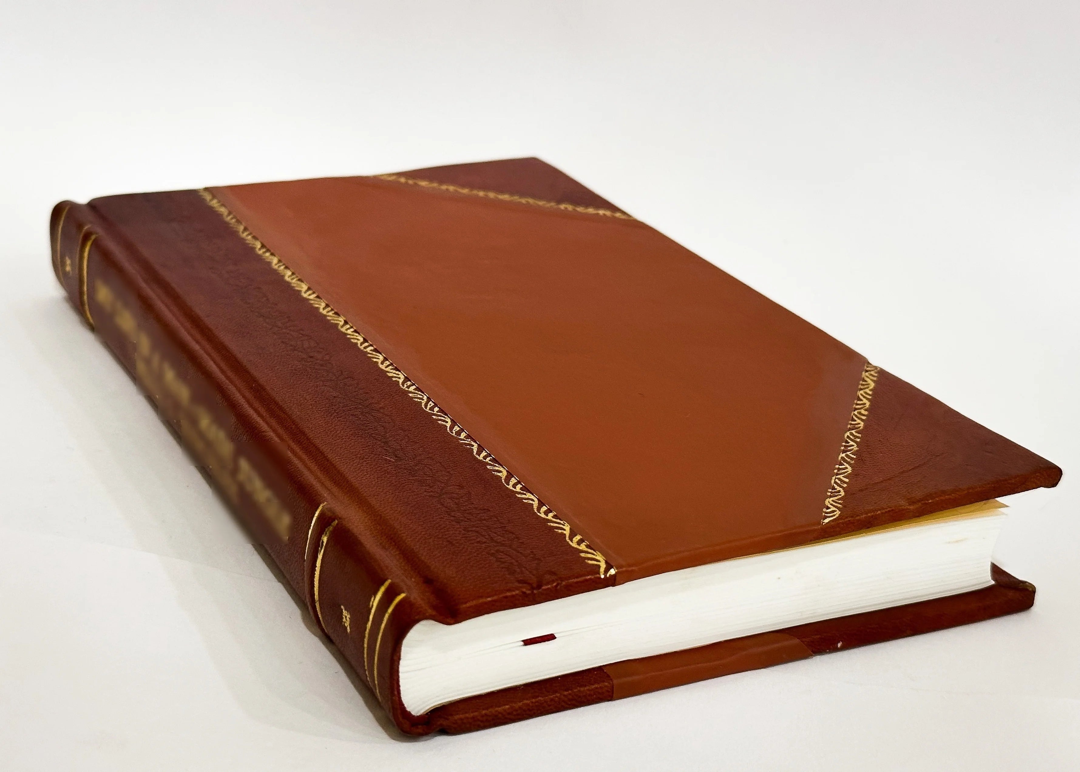 Leather Bound Book C150824
