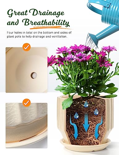 6 inch Set of 2 Ceramic Plant Pots with Drainage Hole and Saucer, Creamy White X5286