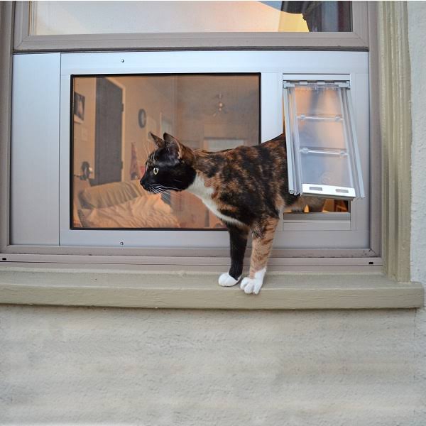 Satin Extra Large Thermo Sash R3101