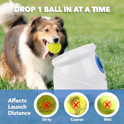 6pcs Tennis Balls (2.5'') Automatic Ball Launcher for Large Dogs L1352