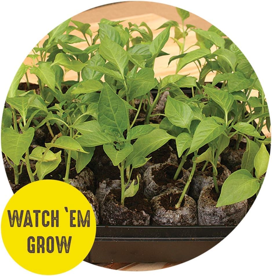 42mm Seed Starting Greenhouse Kit with 25 Biodegradable Expanding Peat Pellets M789429