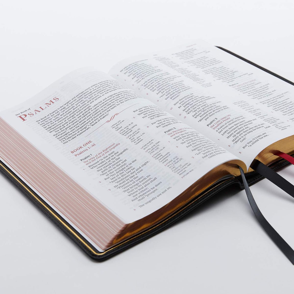 Black Premium Goatskin Leather Reference Bible K869