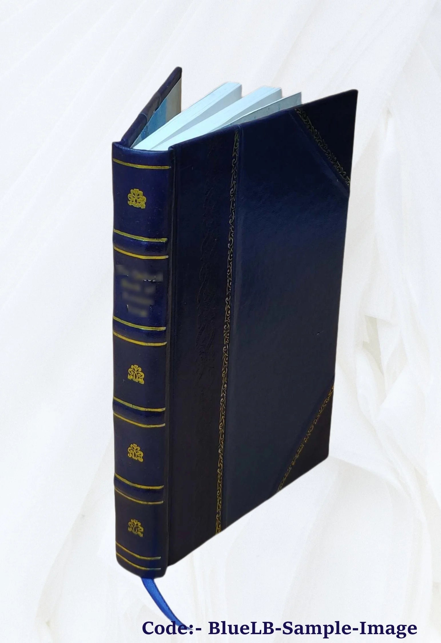 Leather Bound Book P45121