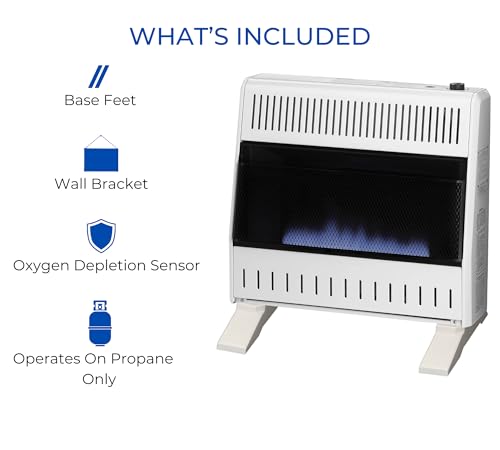 30,000 BTU Liquid Propane Blue Flame Heater T612