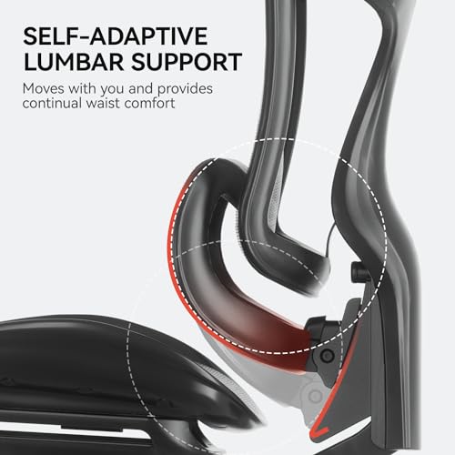 Ergonomic Office Chair with 3D Armrests, Adjustable Backrest, Grey L297
