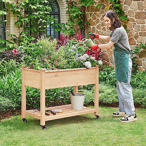 Wooden Raised Garden Bed with Wheels, 2 PCS O439196