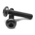 M5 x 0.80 x 12 Coarse Thread Machine Screw 6 Lobe Pan Head Low Carbon Steel Black Oxide Pk 1500 V4634