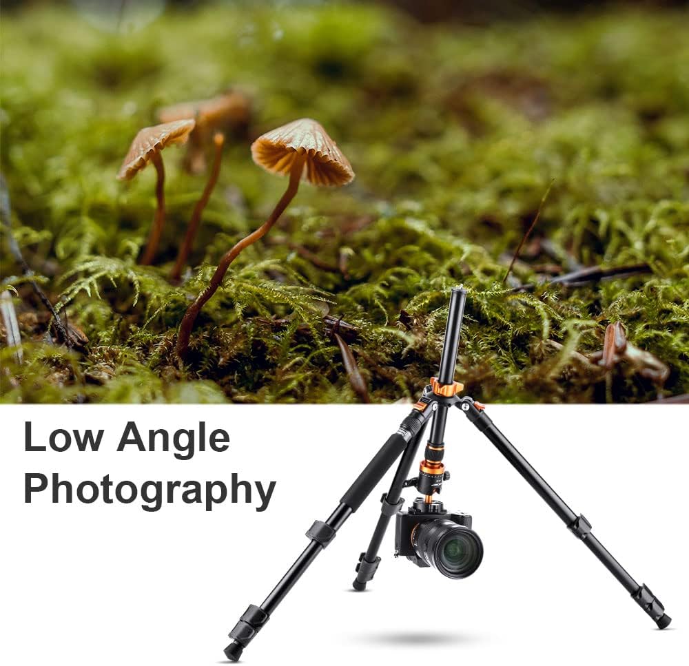 62 inch DSLR Camera Tripod with Monopod and Aluminum Alloy Quick Release Plate Y447