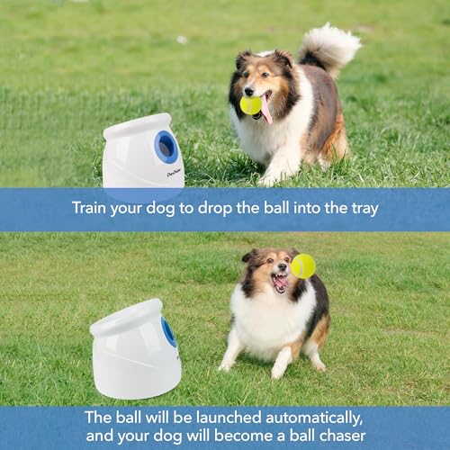 6pcs Tennis Balls (2.5'') Automatic Ball Launcher for Large Dogs L1352