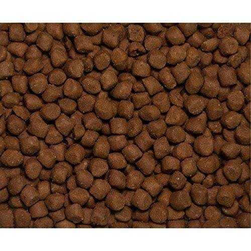 Dry Dog/Cat Food H212400
