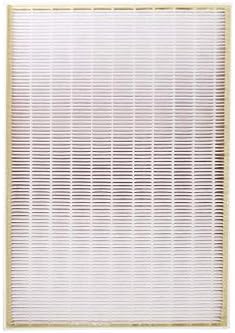True HEPA Filter and 4 Carbon Pre-Filters Pack of 2 Q5647