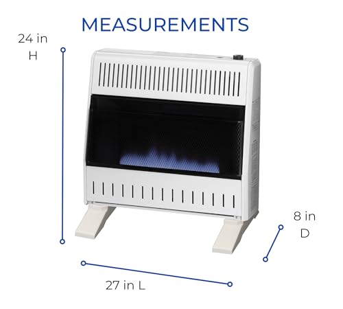30,000 BTU Liquid Propane Blue Flame Heater T612