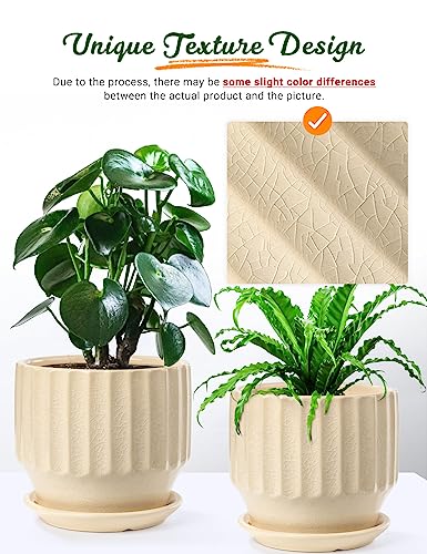 6 inch Set of 2 Ceramic Plant Pots with Drainage Hole and Saucer, Creamy White X5286