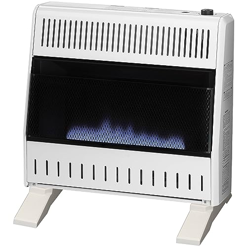 30,000 BTU Liquid Propane Blue Flame Heater T612