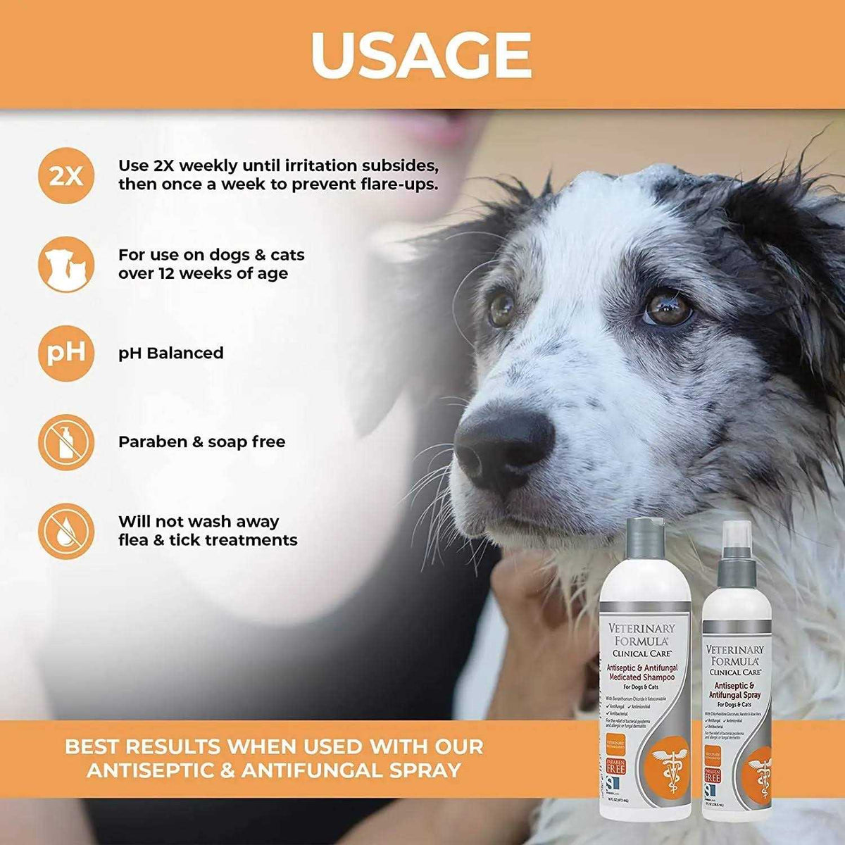Antiseptic & Antifungal Medicated Shampoo I578439