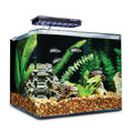 Frameless Freshwater Aquarium Kit X679