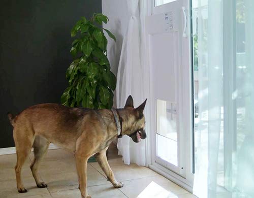 Large Electronic Dog Door for Patio Doors N7926