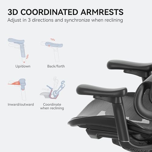 Ergonomic Office Chair with 3D Armrests, Adjustable Backrest, Grey L297