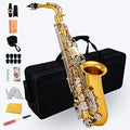 Black/gold keys Eb Alto Saxophone with Case G299000
