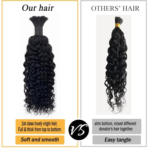 Human Hair R338875