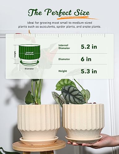 6 inch Set of 2 Ceramic Plant Pots with Drainage Hole and Saucer, Creamy White X5286