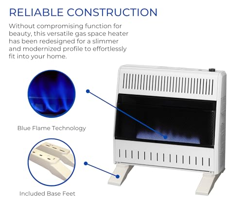 30,000 BTU Liquid Propane Blue Flame Heater T612